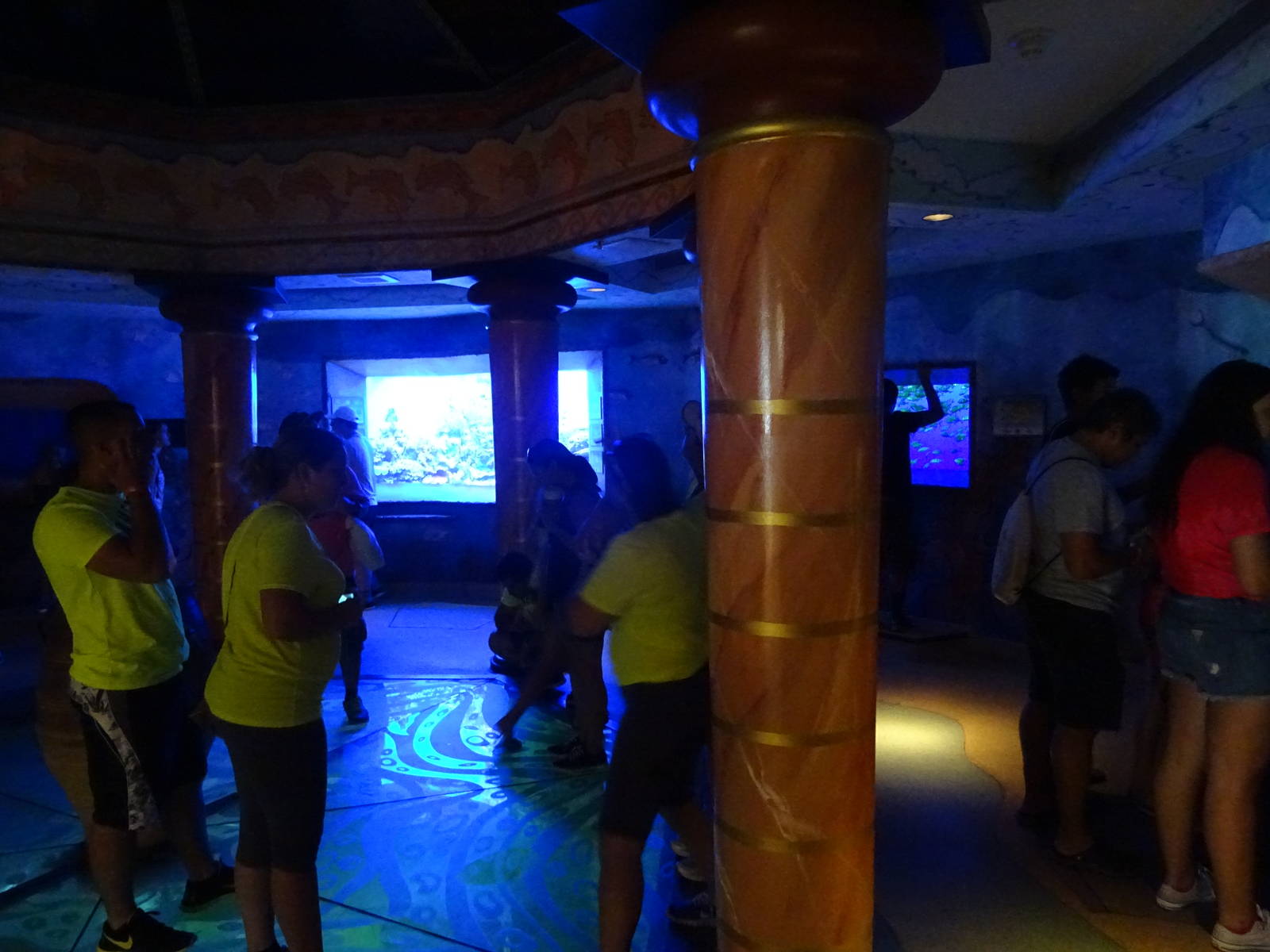 General View of the Jewel of the Sea Aquarium at SeaWorld Orlando