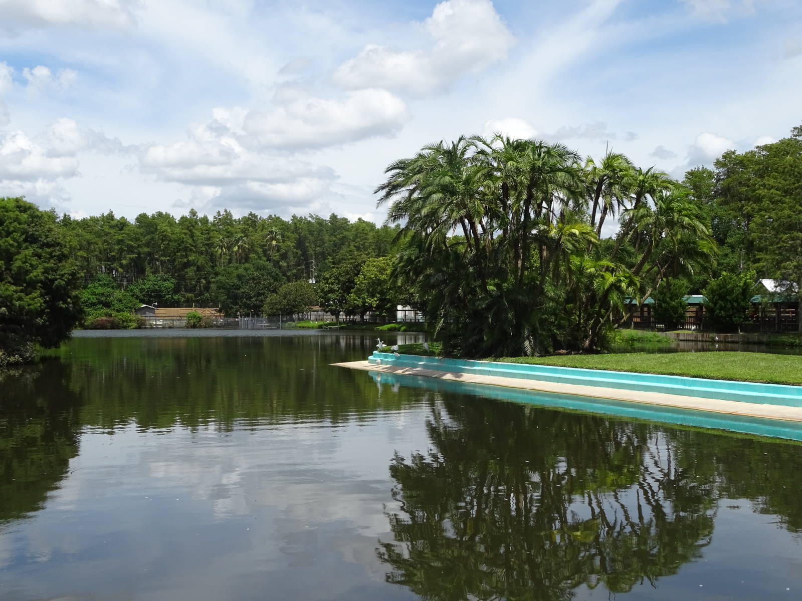 General View of the Lake at Gatorland