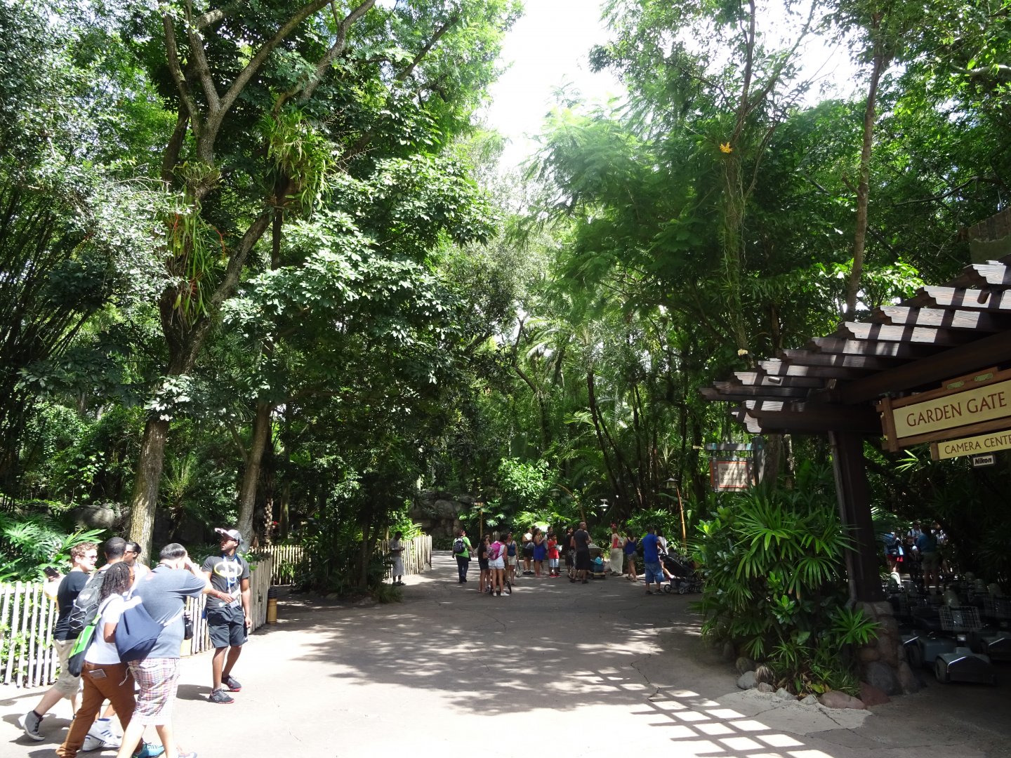 General View of the Oasis Area at Disney's Animal Kingdom (2014)