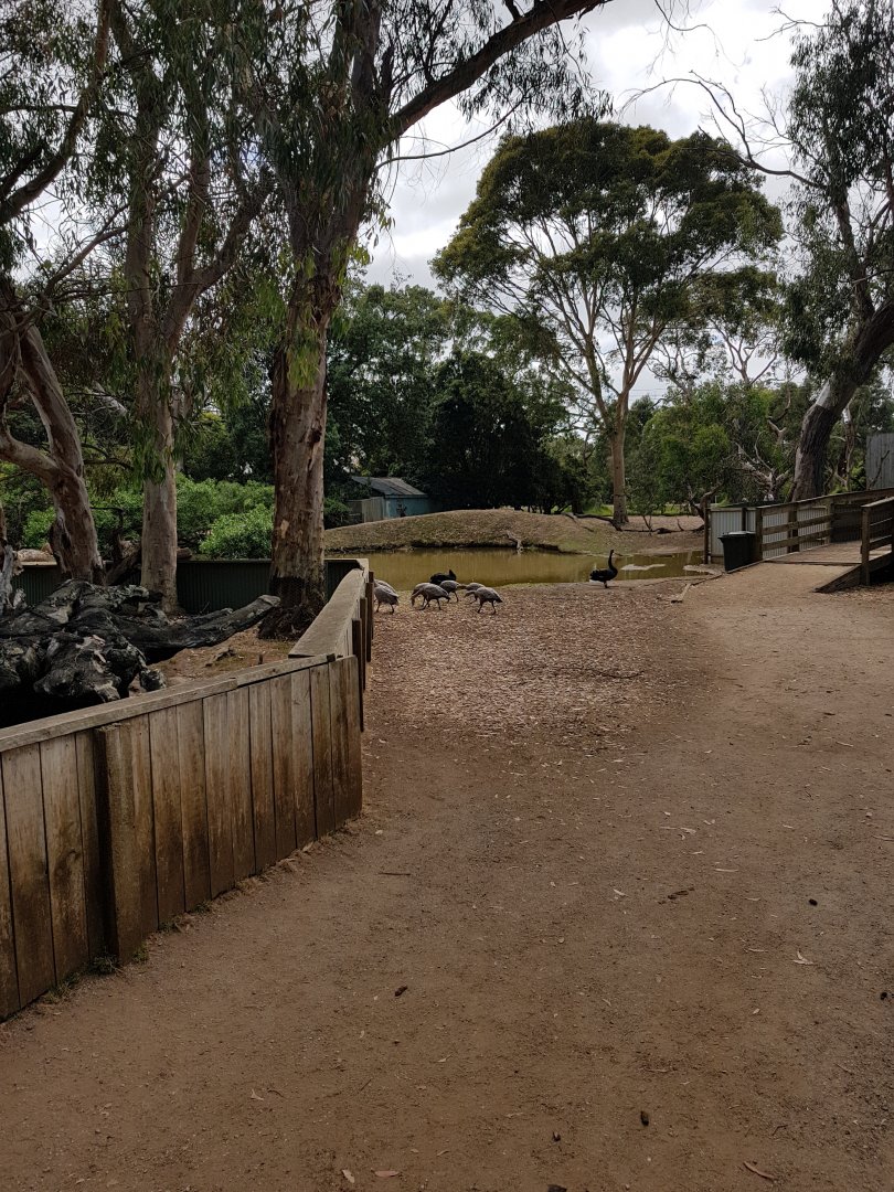 General view of the park