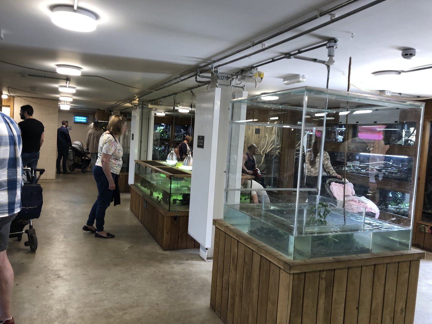 General View of the Reptile House at Cannon Hall Farm (May 2022)