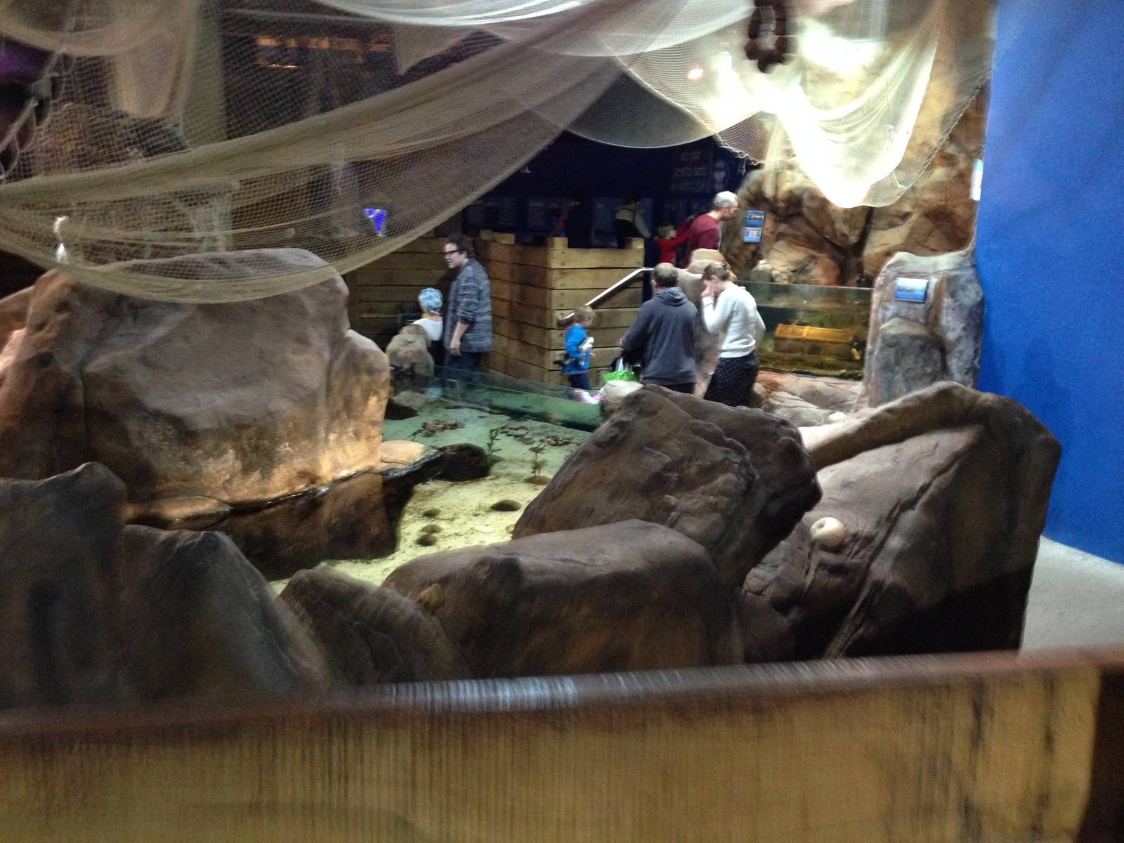 General View of the Rock Pool Section at Blue Planet Aquarium - 05/10/2013