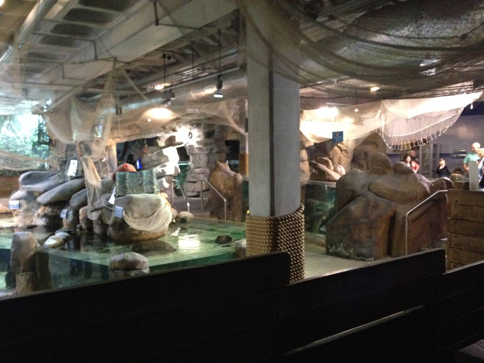 General View of the Rock Pool Section at Blue Planet Aquarium - 05/10/2013