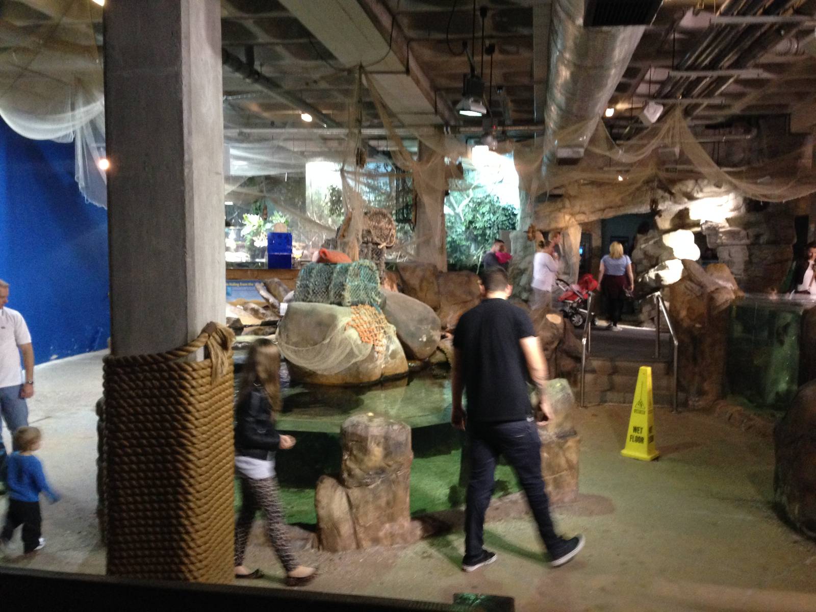 General View of the Rock Pool Section at Blue Planet Aquarium - 05/10/2013