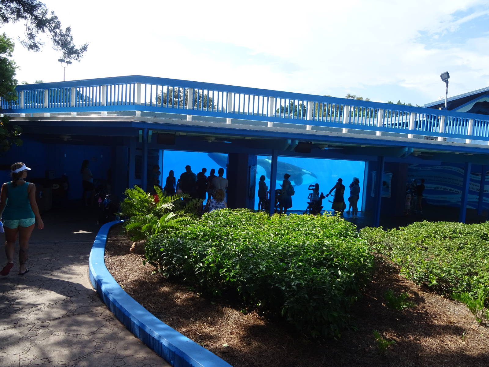 General View of the Shamu Underwater Viewing Area at SeaWorld Orlando