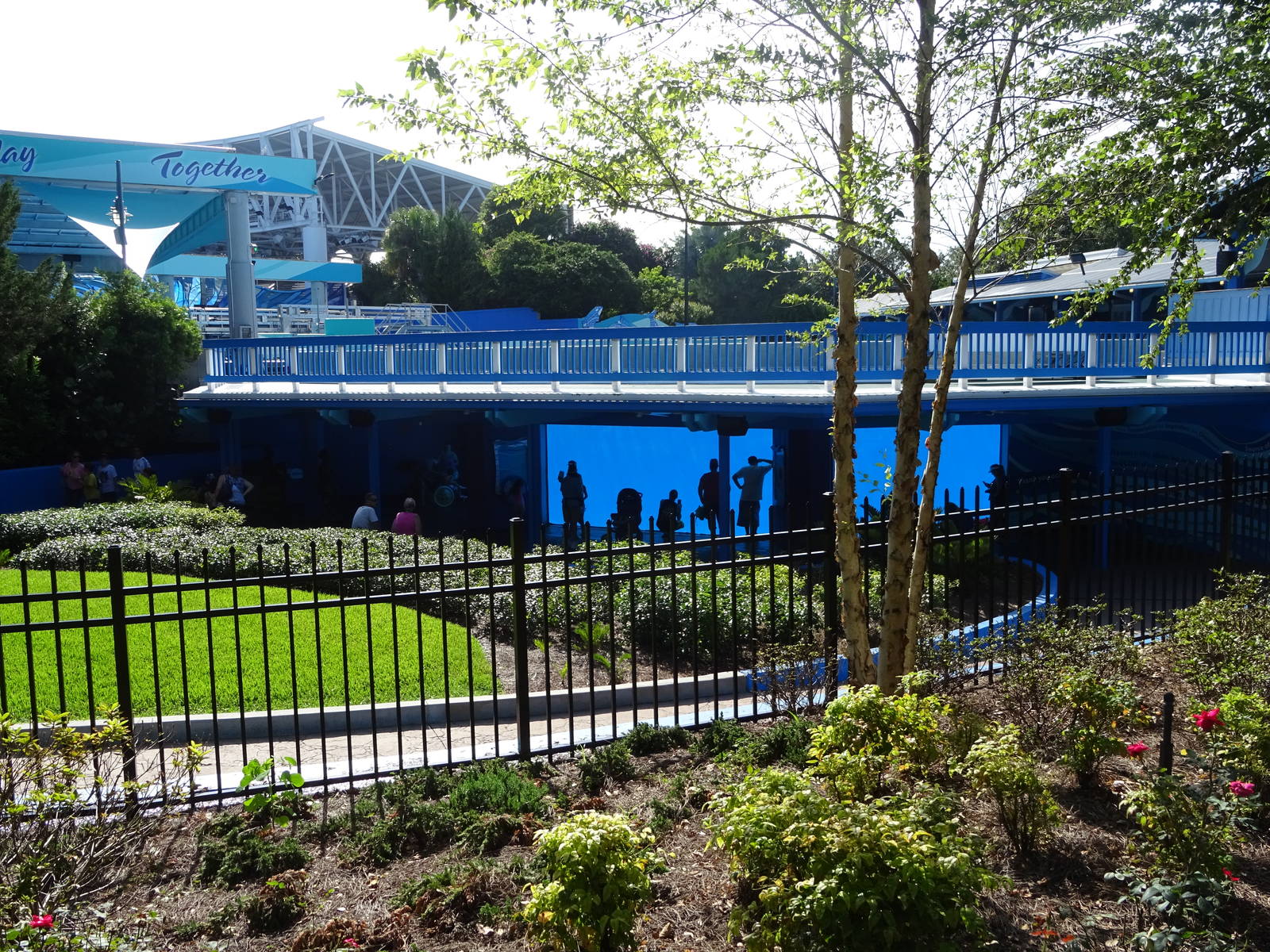 General View of the Shamu Underwater Viewing Area at SeaWorld Orlando