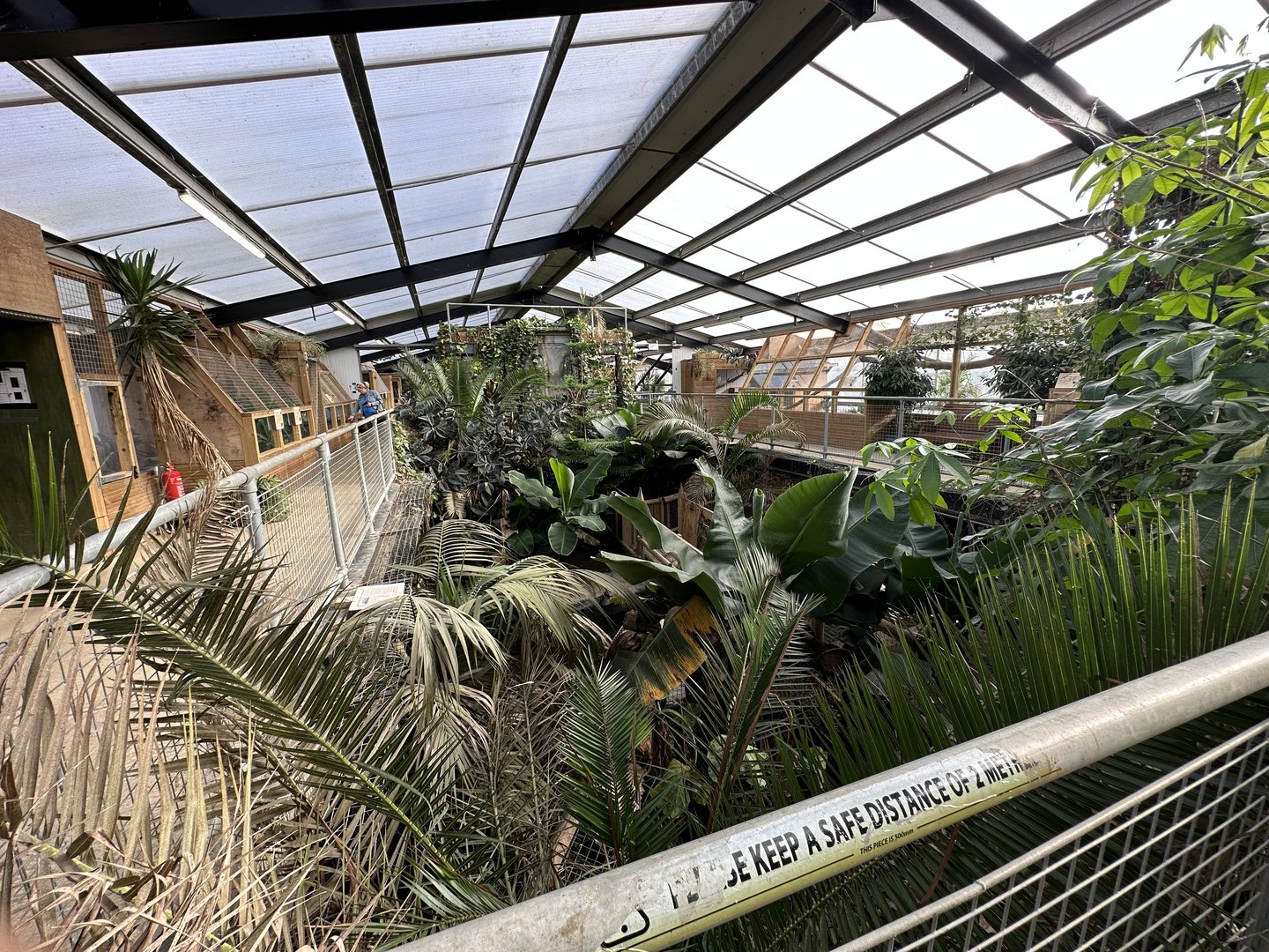 General View of the Tropical House at Johnsons of Old Hurst (October 2023)