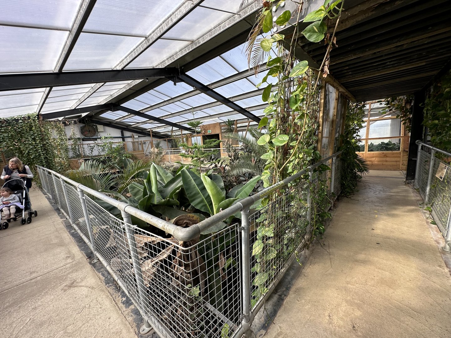 General View of the Tropical House at Johnsons of Old Hurst (October 2023)