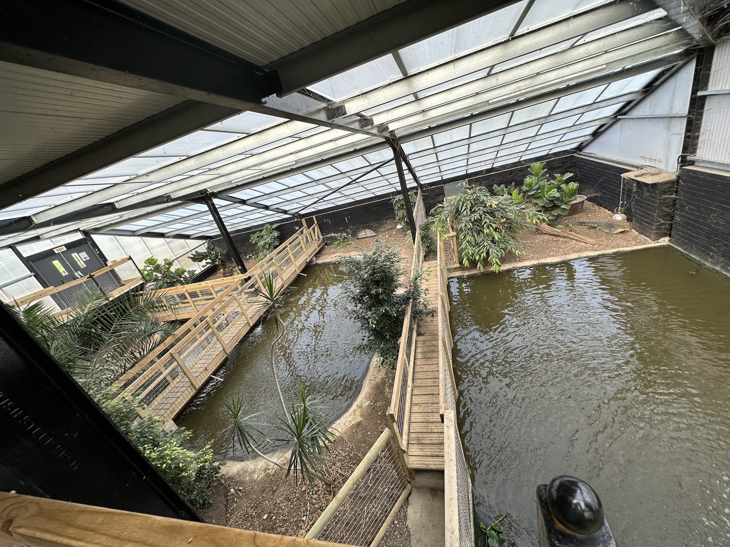 General View of the Tropical House at Johnsons of Old Hurst (October 2023)