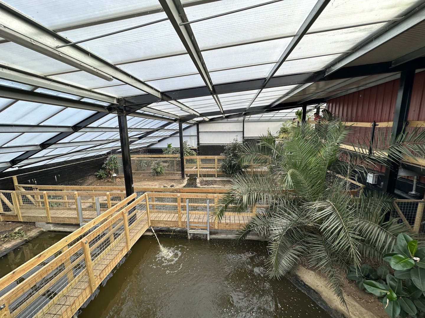 General View of the Tropical House at Johnsons of Old Hurst (October 2023)