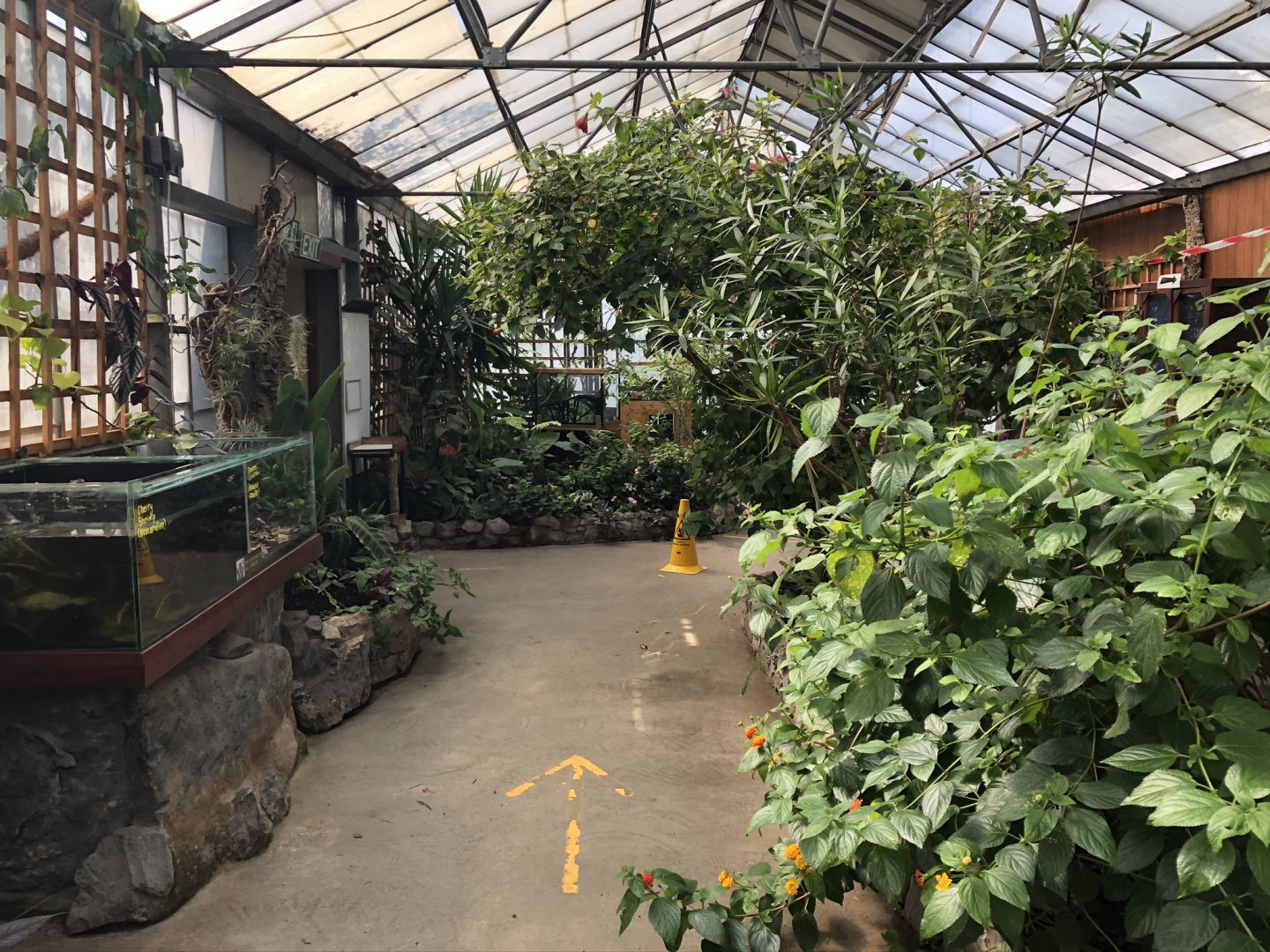 General View of the Tropical House at Lakeland Wildlife Oasis (2020)