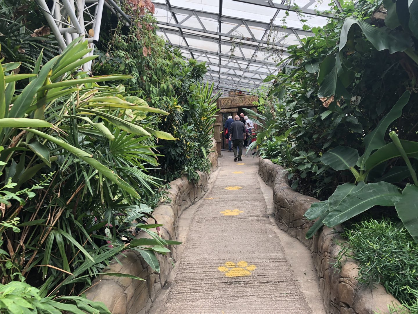 General View of the Waterfall House at Tropical World (July 2020)