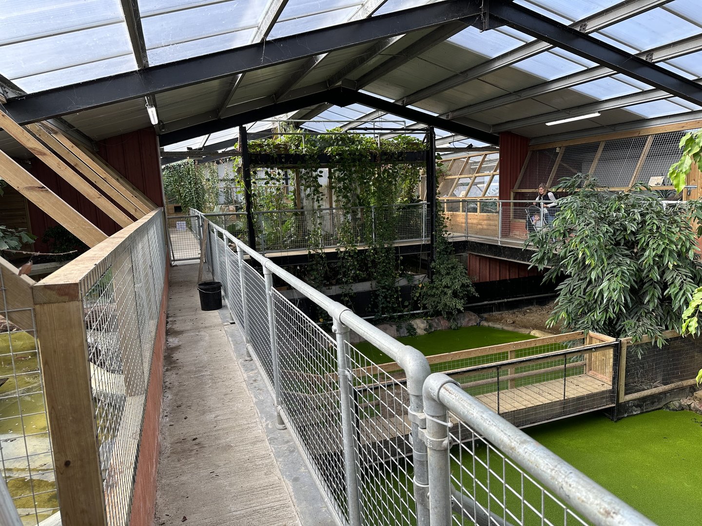 General View of Tropical House at Johnsons of Old Hurst (October 2023)