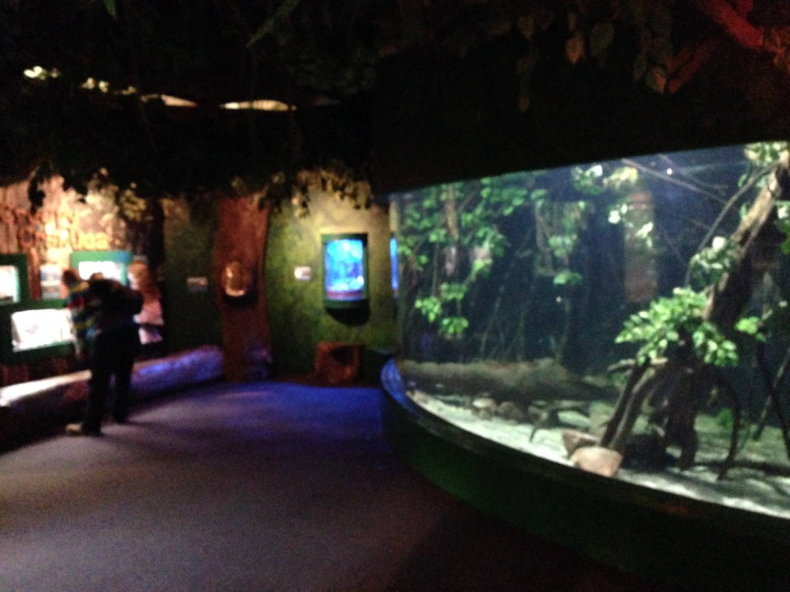 General View of Tropical Rivers at Blue Planet Aquarium - 05/10/2013