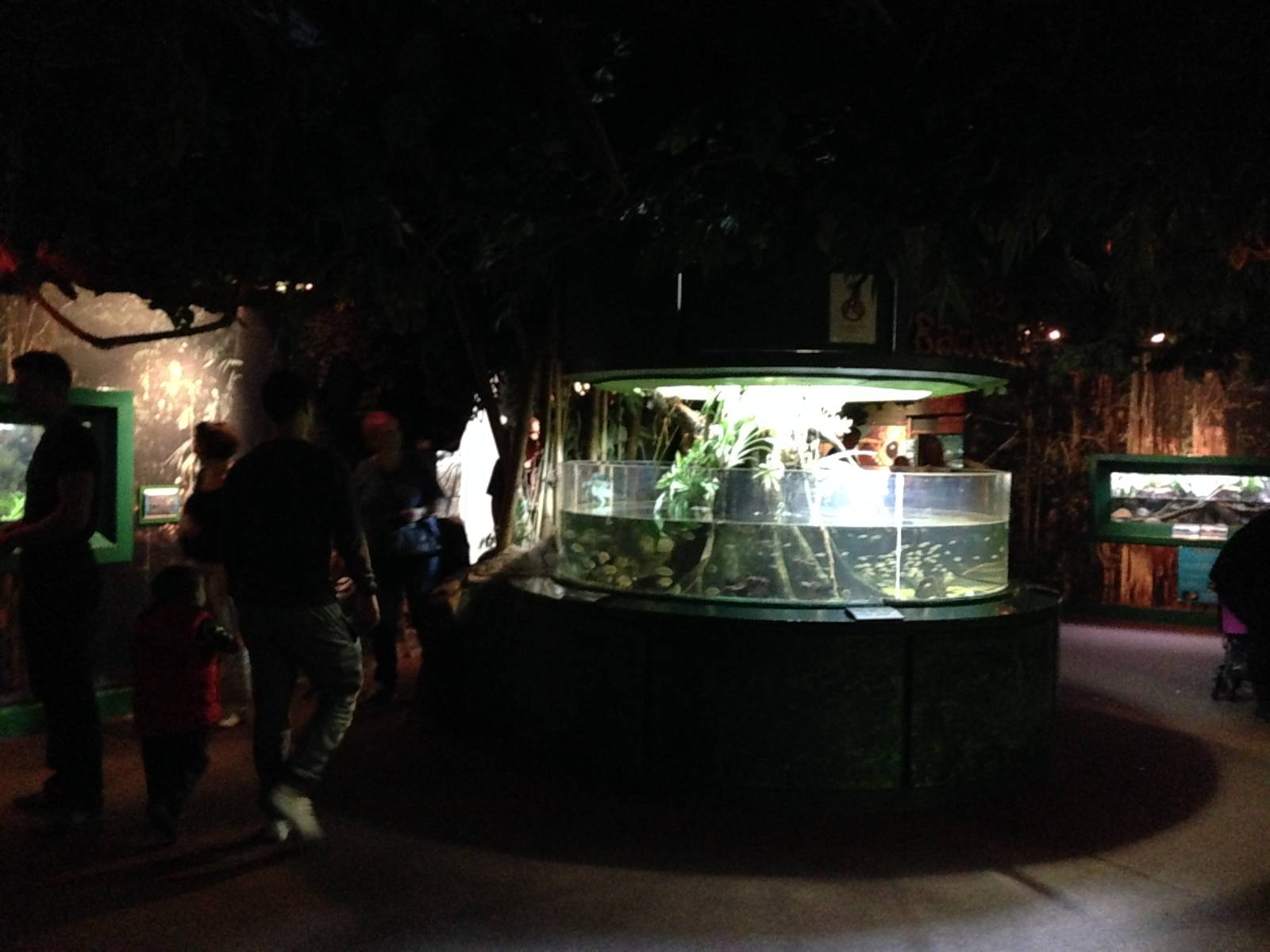 General View of Tropical Rivers at Blue Planet Aquarium - 05/10/2013