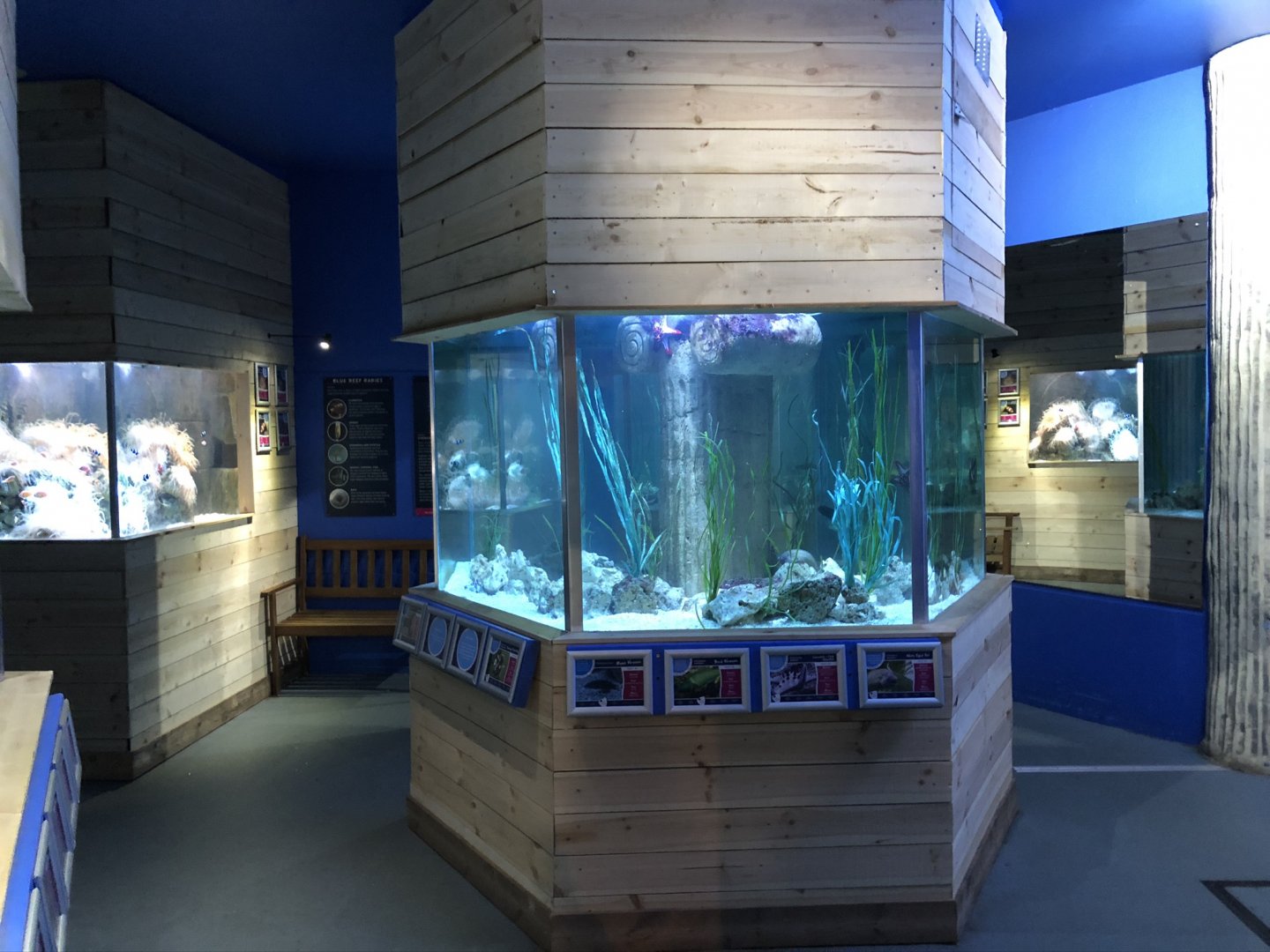 General View of Tropical Seas at Tynemouth Aquarium (2019)