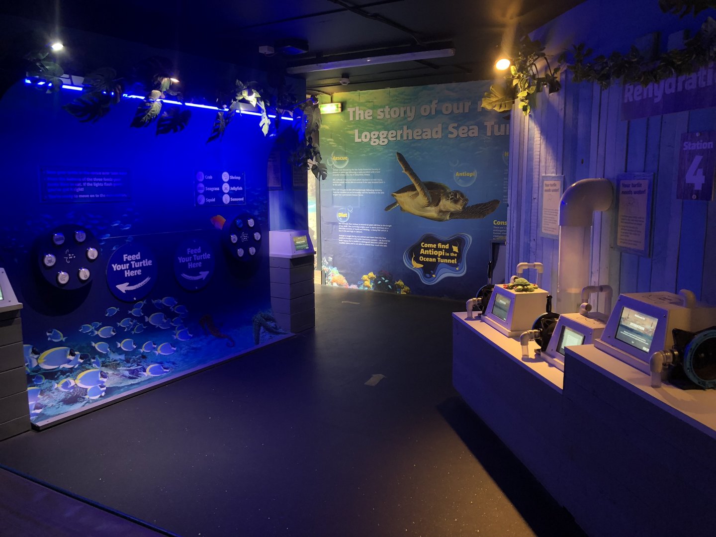 General View of Turtle Rescue at SEA LIFE Scarborough (September 2022)