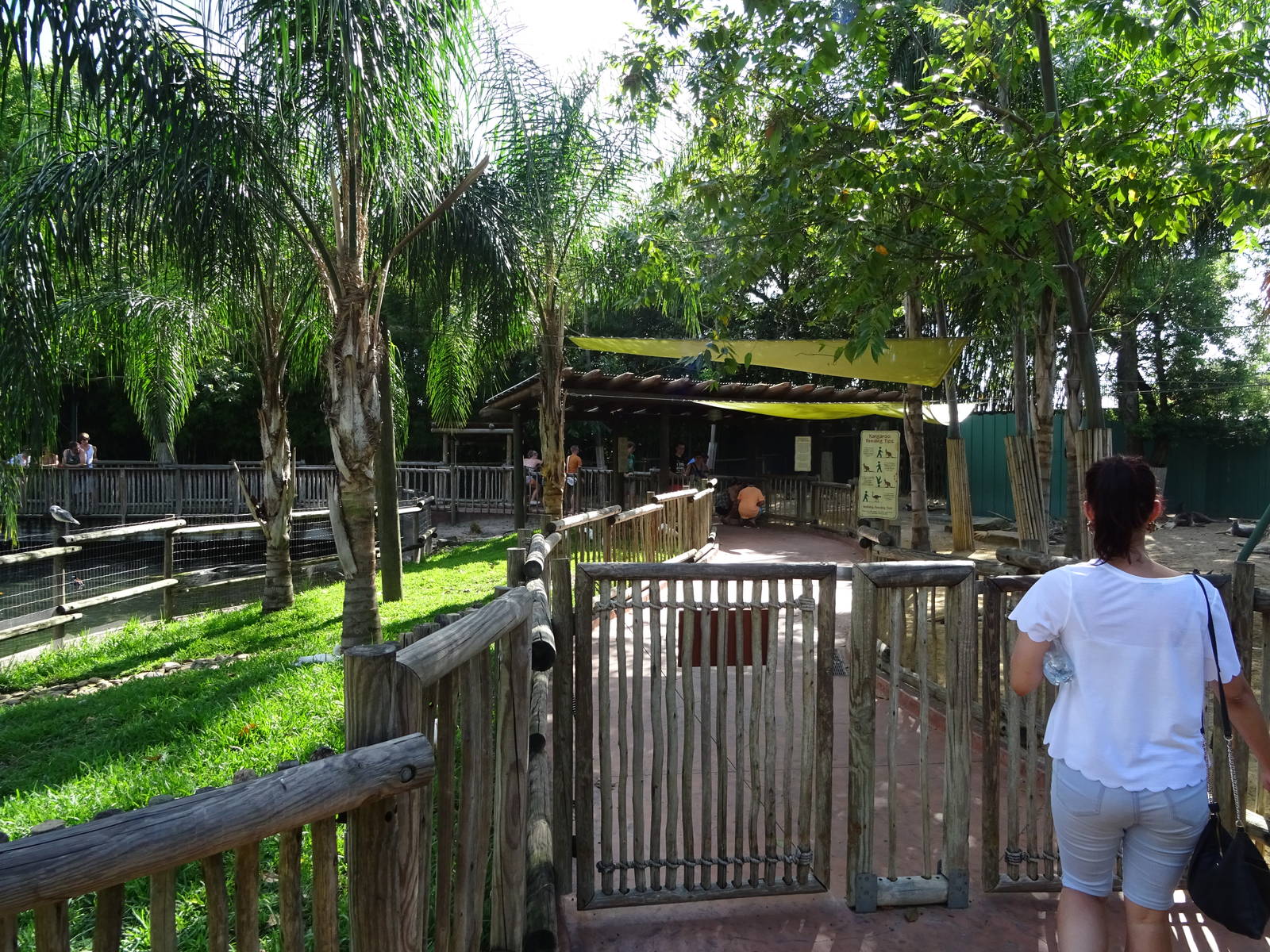 General View of Walkabout Way at Busch Gardens Tampa