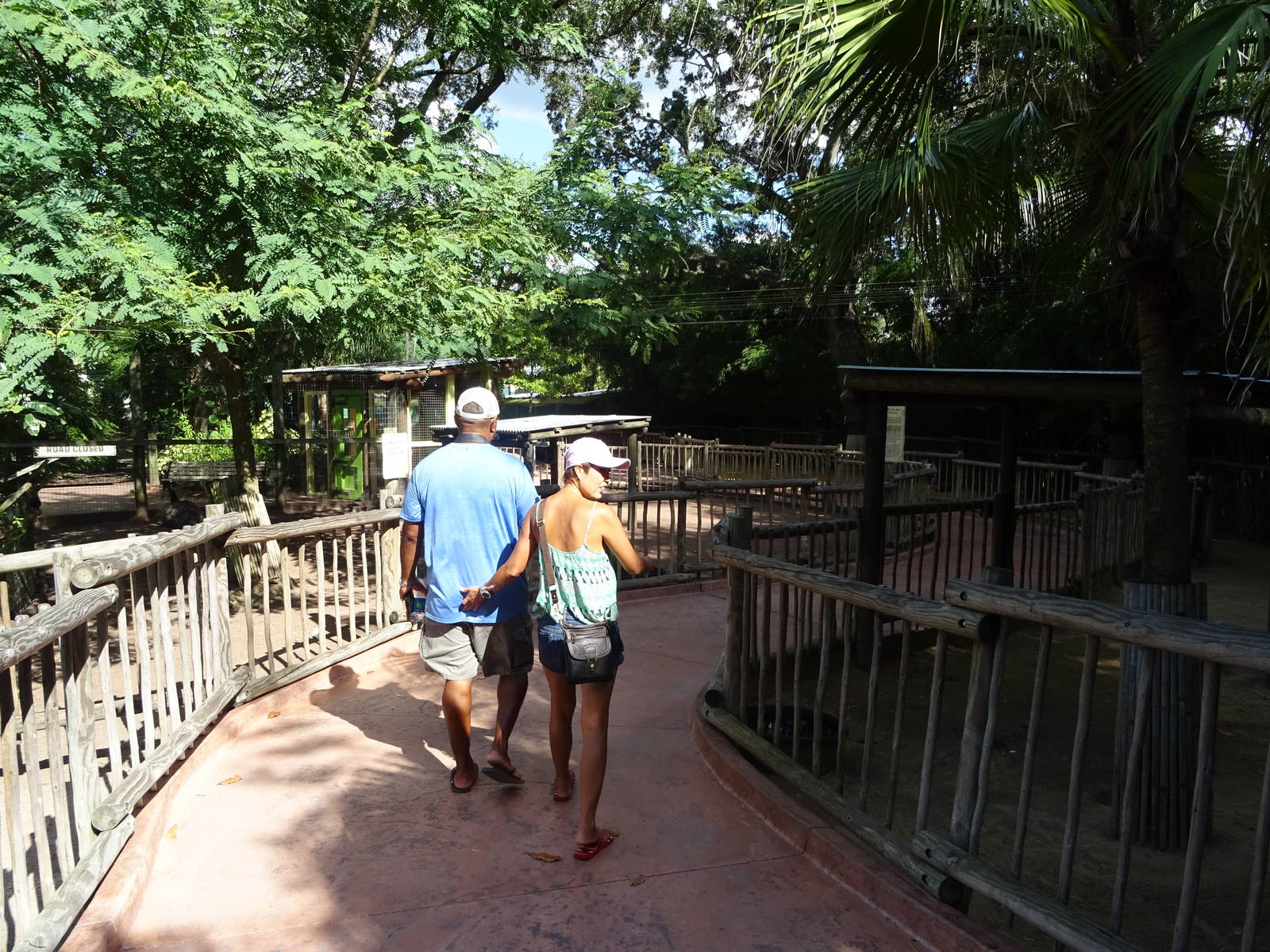 General View of Walkabout Way at Busch Gardens Tampa