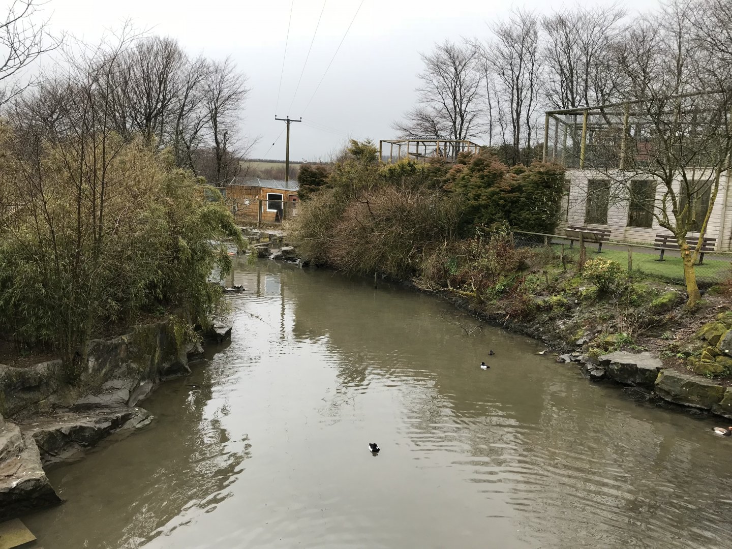 General view of waterfowl area and other enclosures 150418