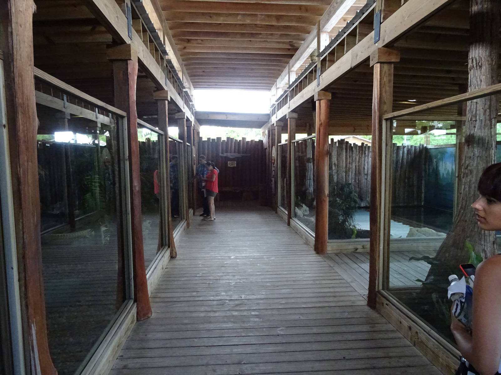 General View of White Gator Swamp at Gatorland
