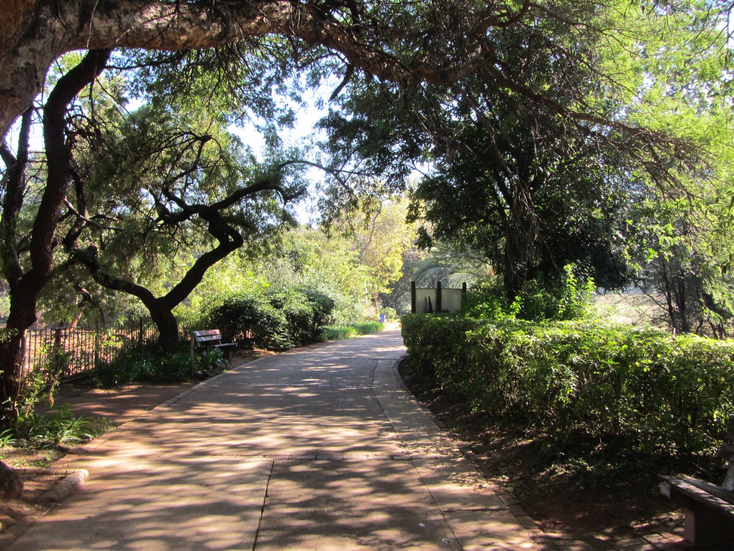 General View of Zoo Grounds