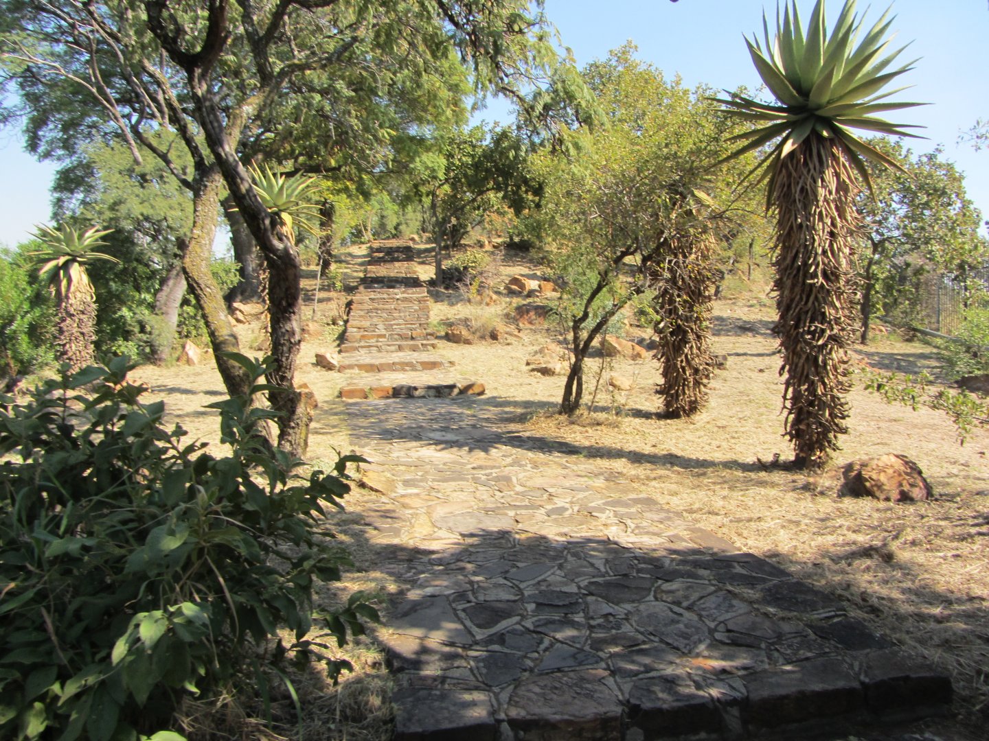 General View of Zoo Grounds