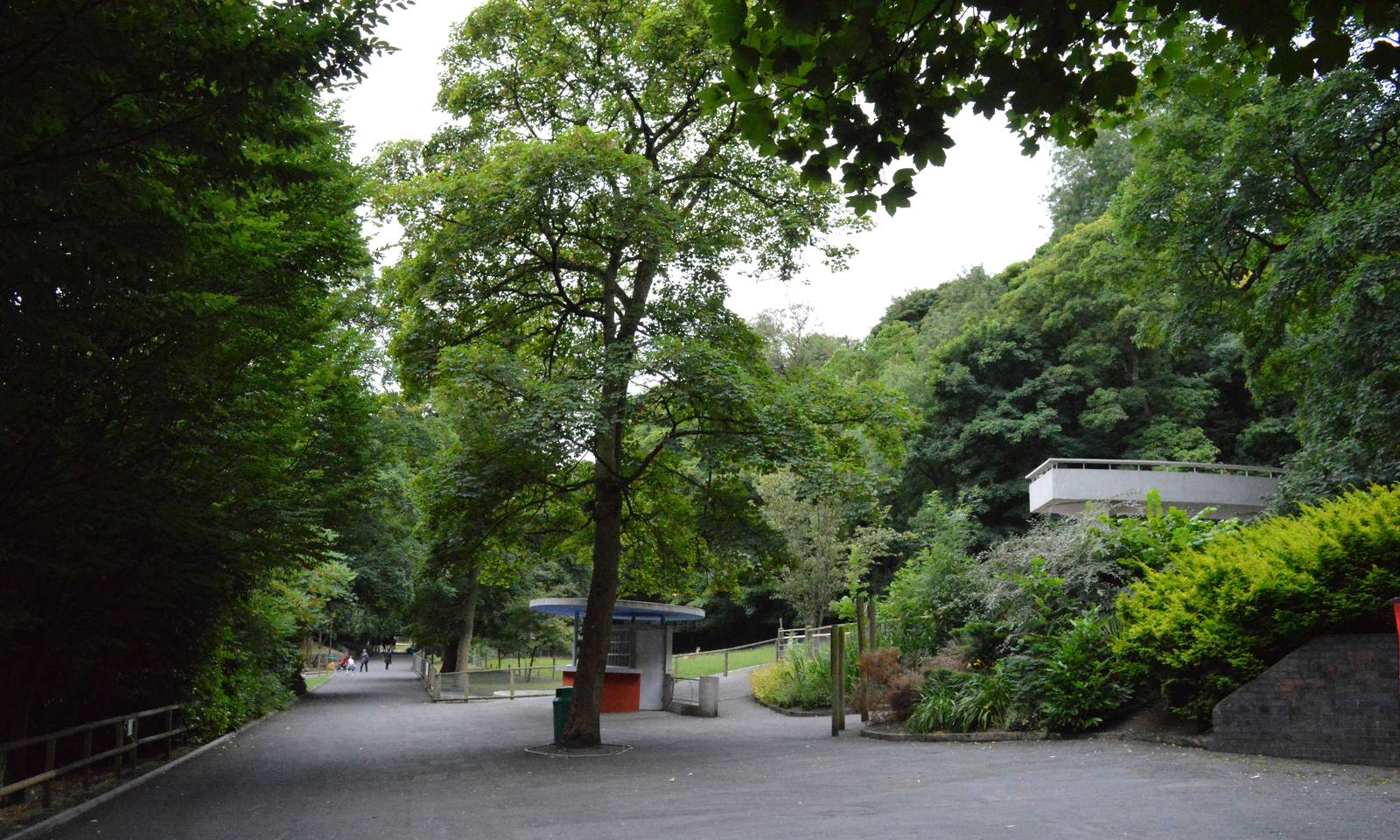 General view on lower level