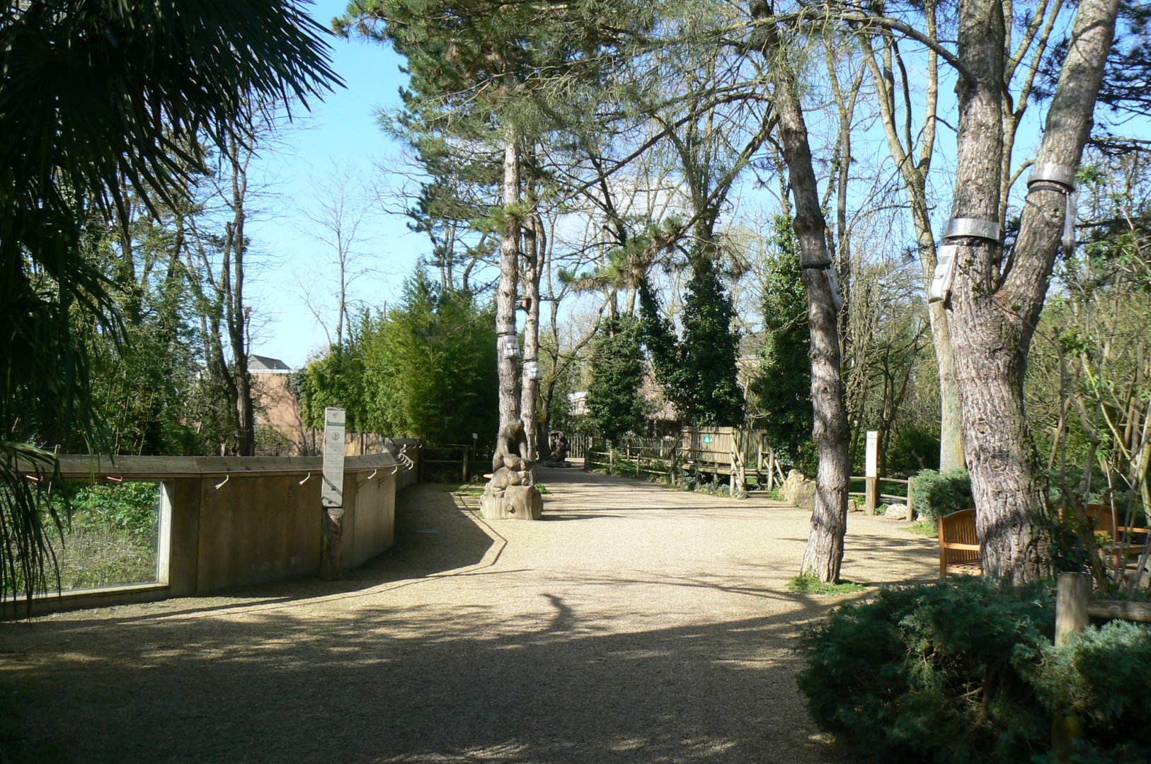 General view - path between spectacled bears enclosure and spider monkeys islands