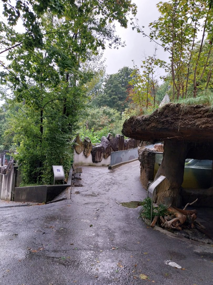 General view right after the entrance