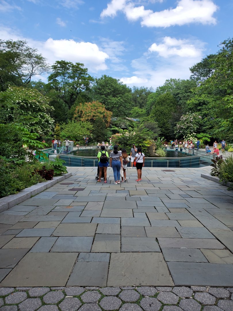 General View/Sea Lion Pool - August 2021