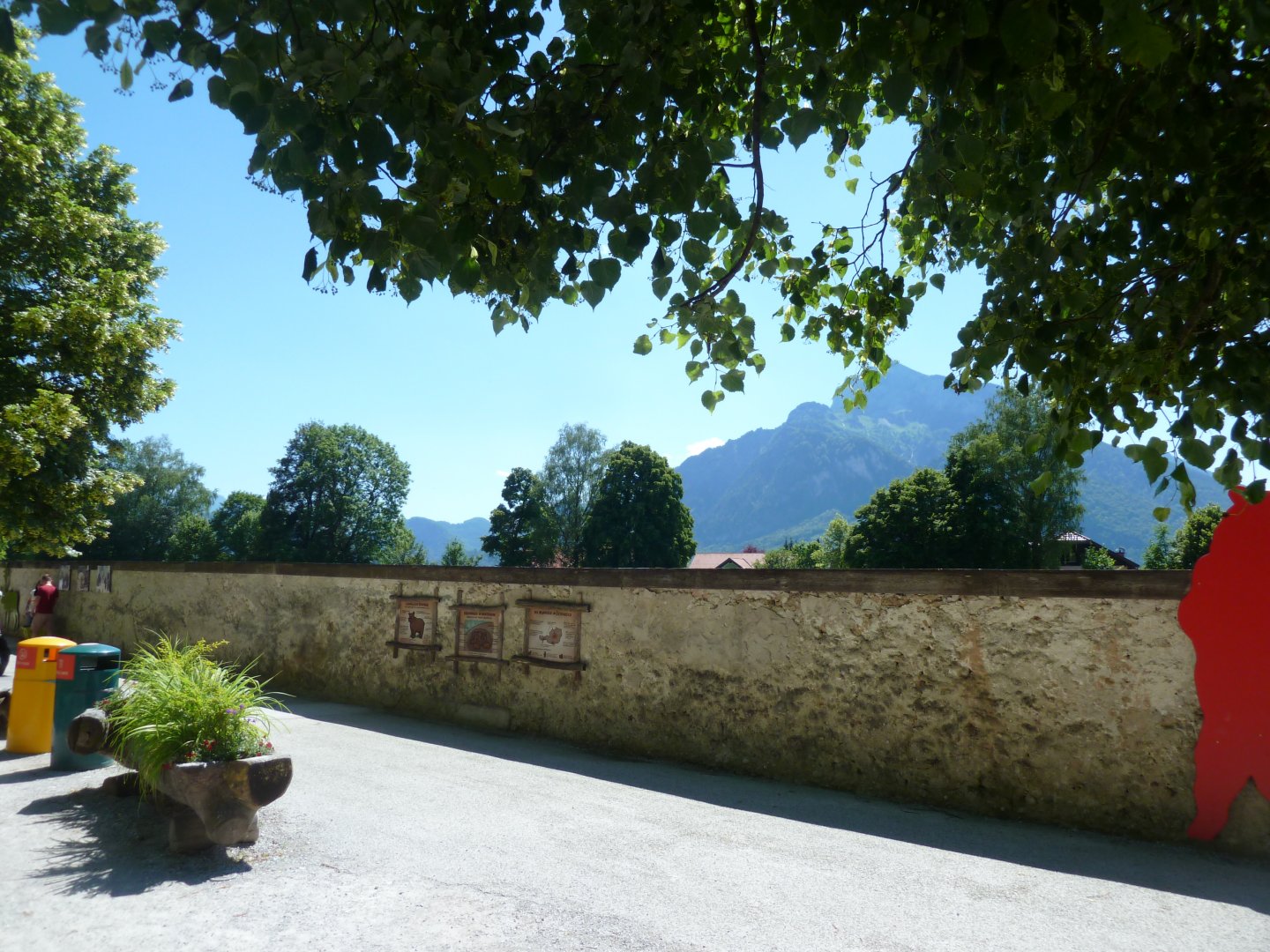 General view seen from brown bear enclosure