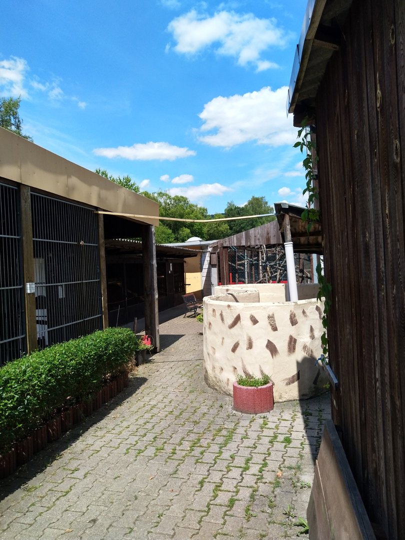 General view (serval enclosure on the left)