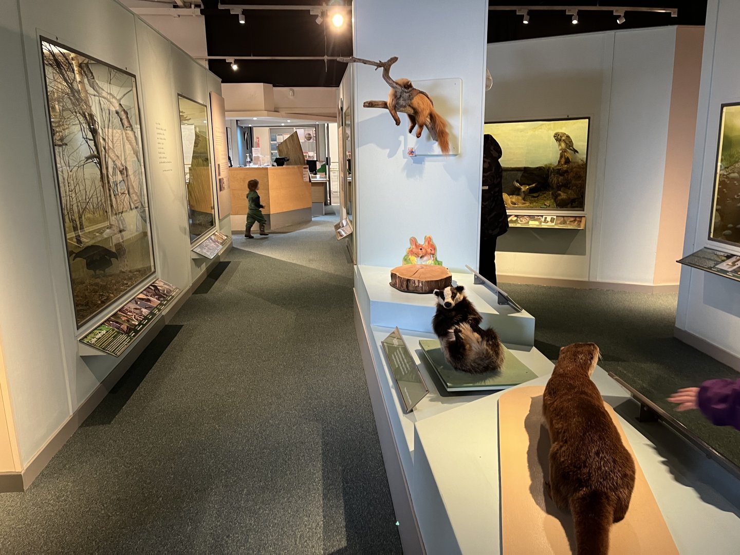 General view (taken at Inverness museum 3.4.24)