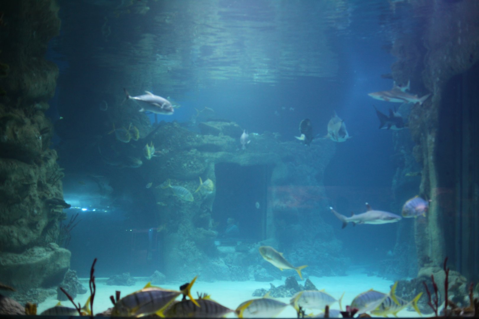 General view through one of the bigger tanks