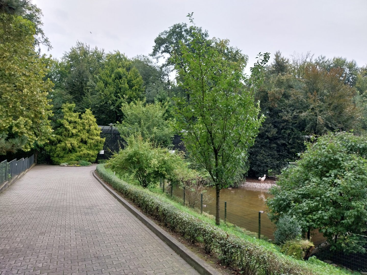 General view towards Pheasantry