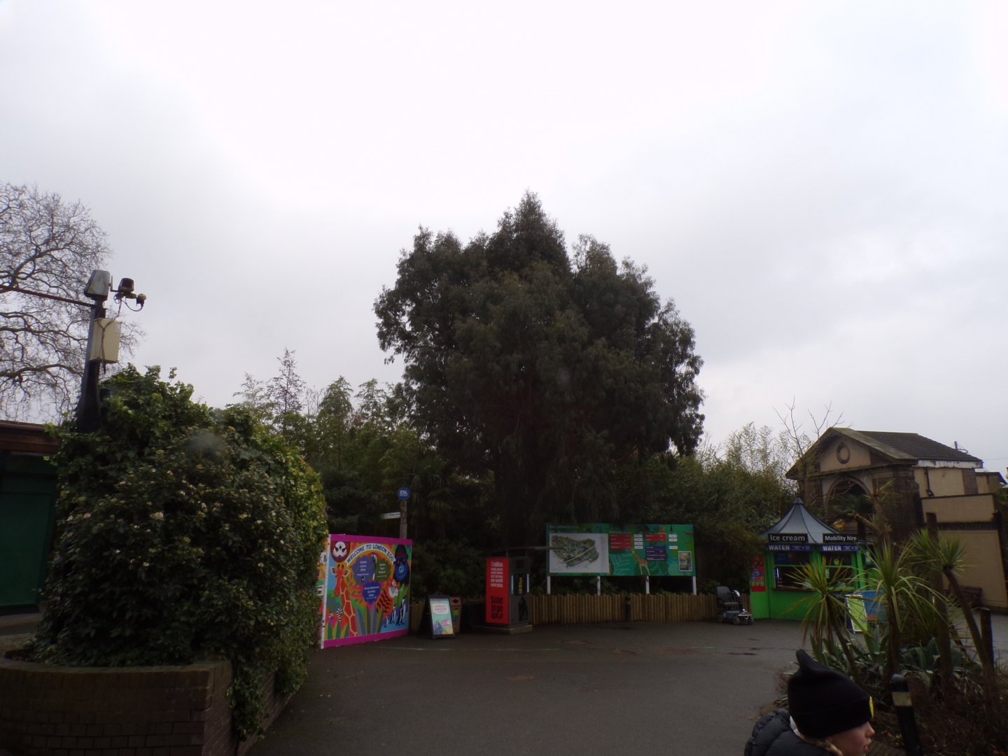 General view upon entering the zoo 11.2.25