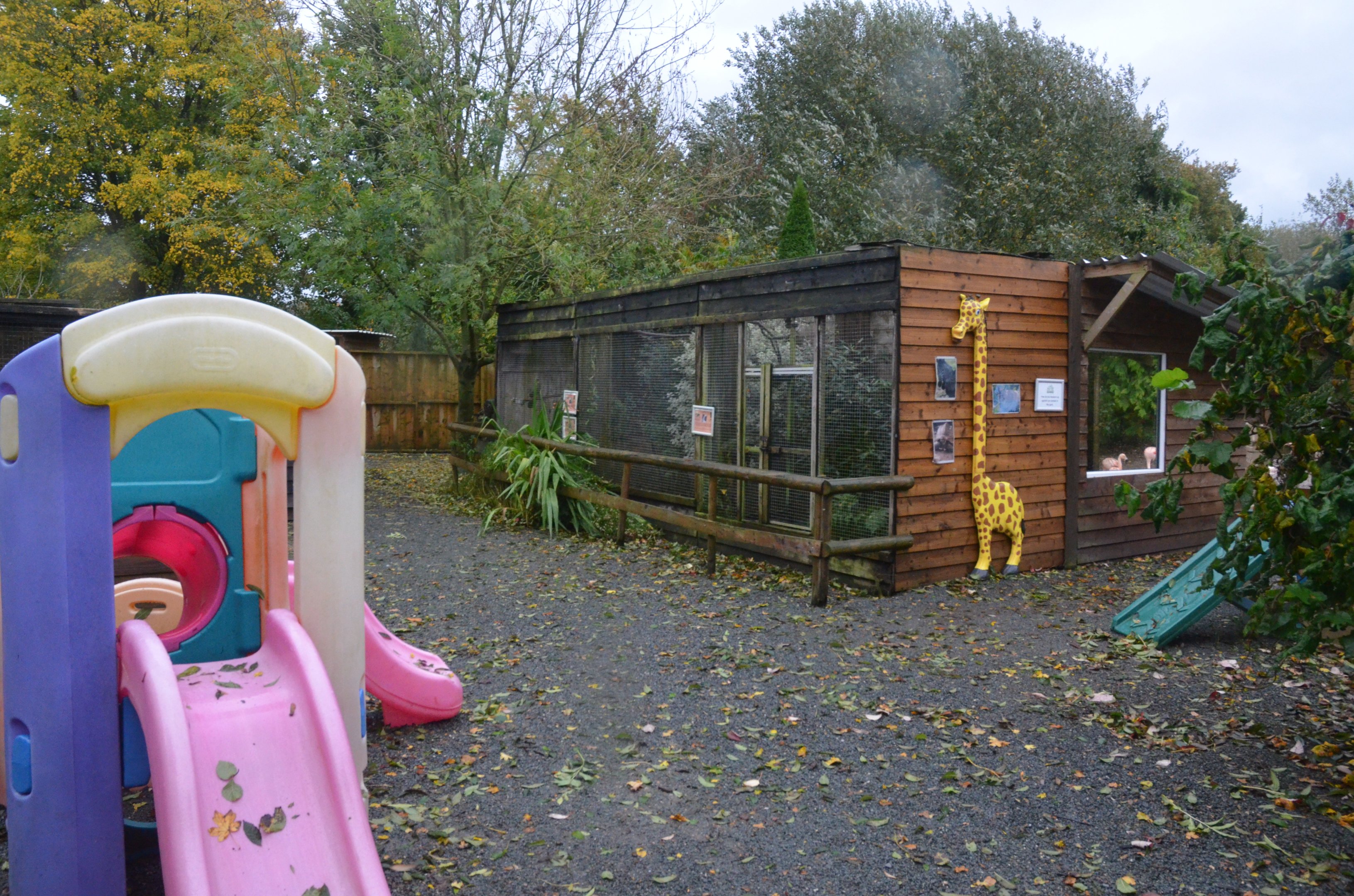 General View with Aviaries at Axe Valley, 02/11/19