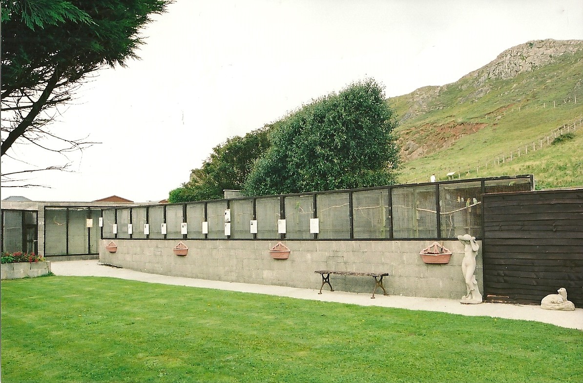 General view with parakeet aviaries dominating, 5th September 2006