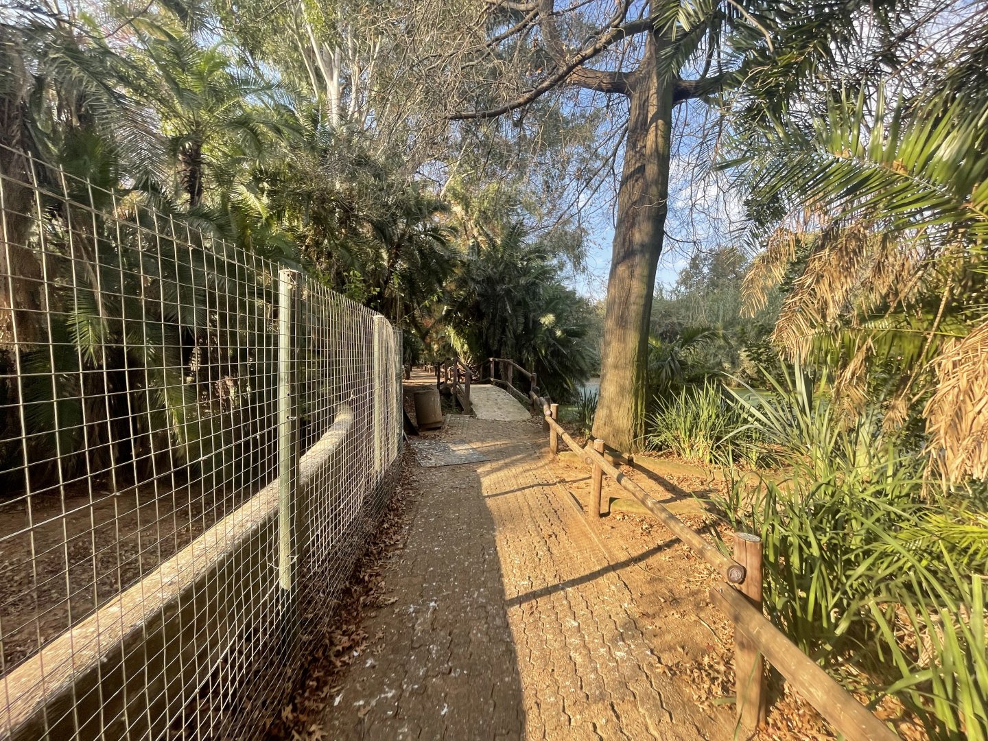 General View with Sitatunga Enclosure on left