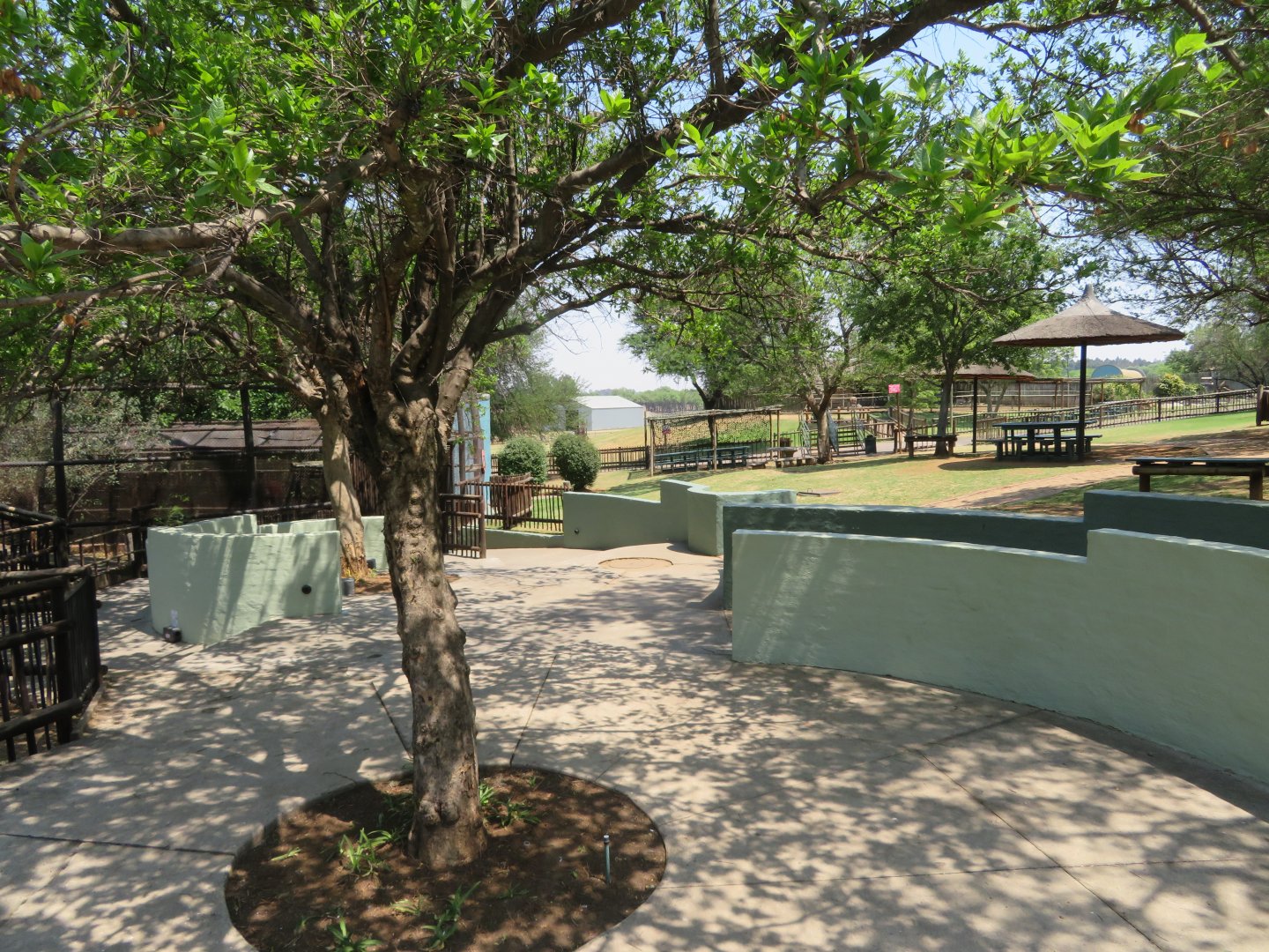 General Zoo Pathway near Entrance
