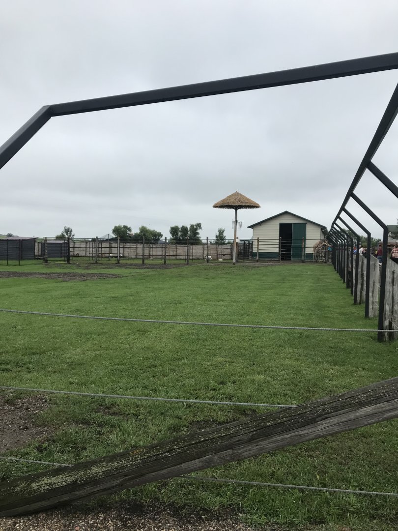 Generic Giraffe Exhibit