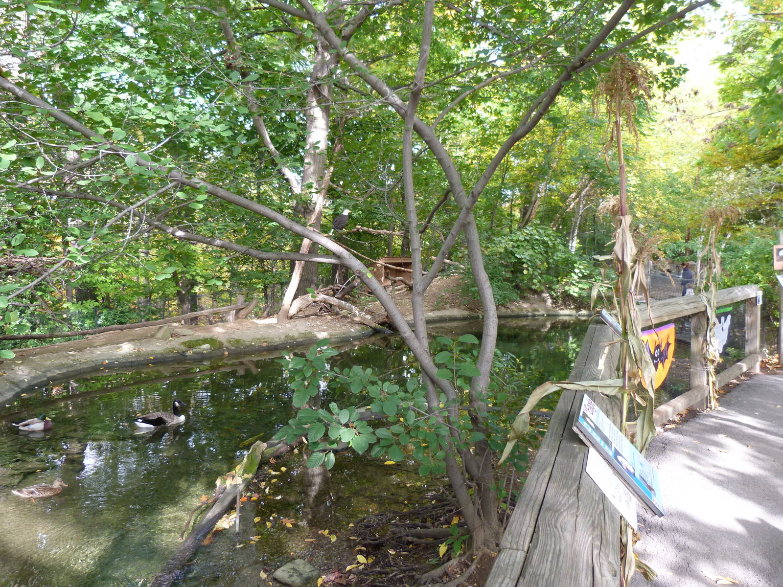 Genesee Trail: Bird Area