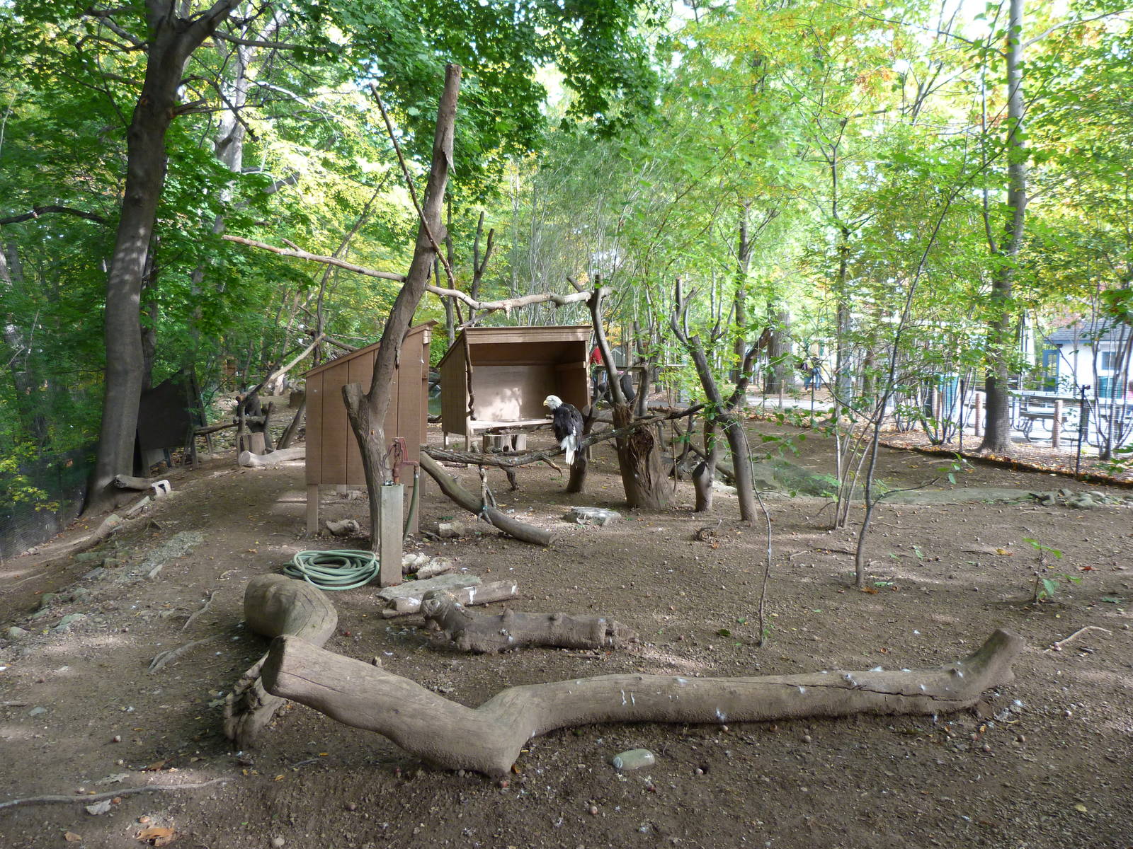 Genesee Trails: Bird Area