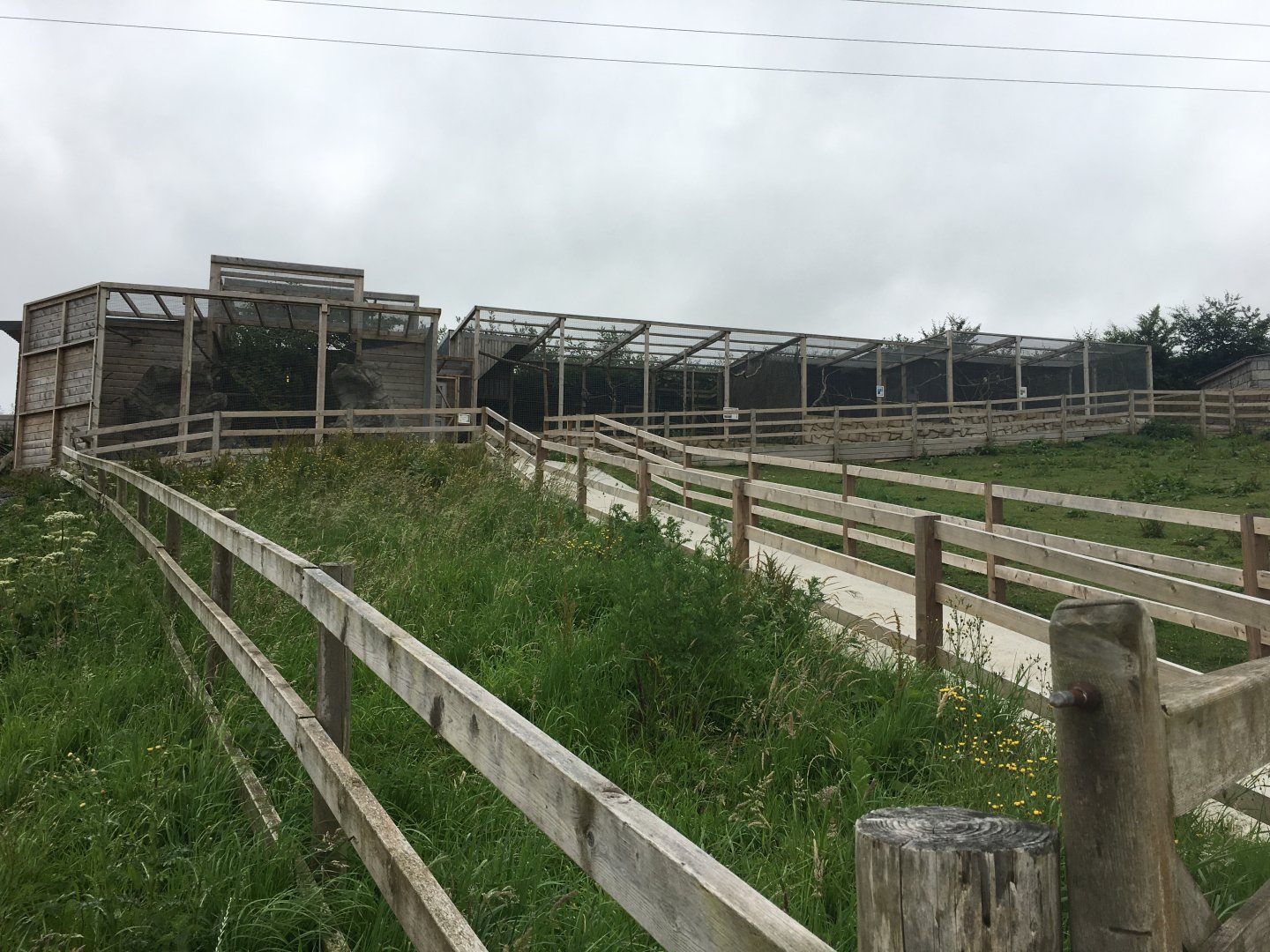 Genet enclosure to left, aviaries to right 300617