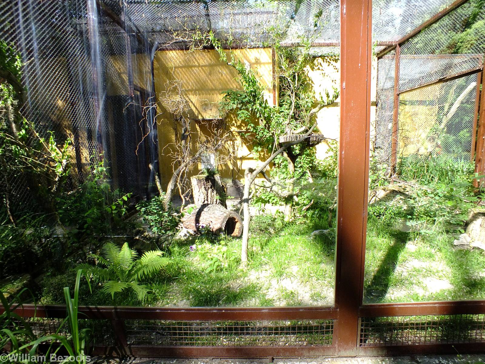 Genet Enclosure