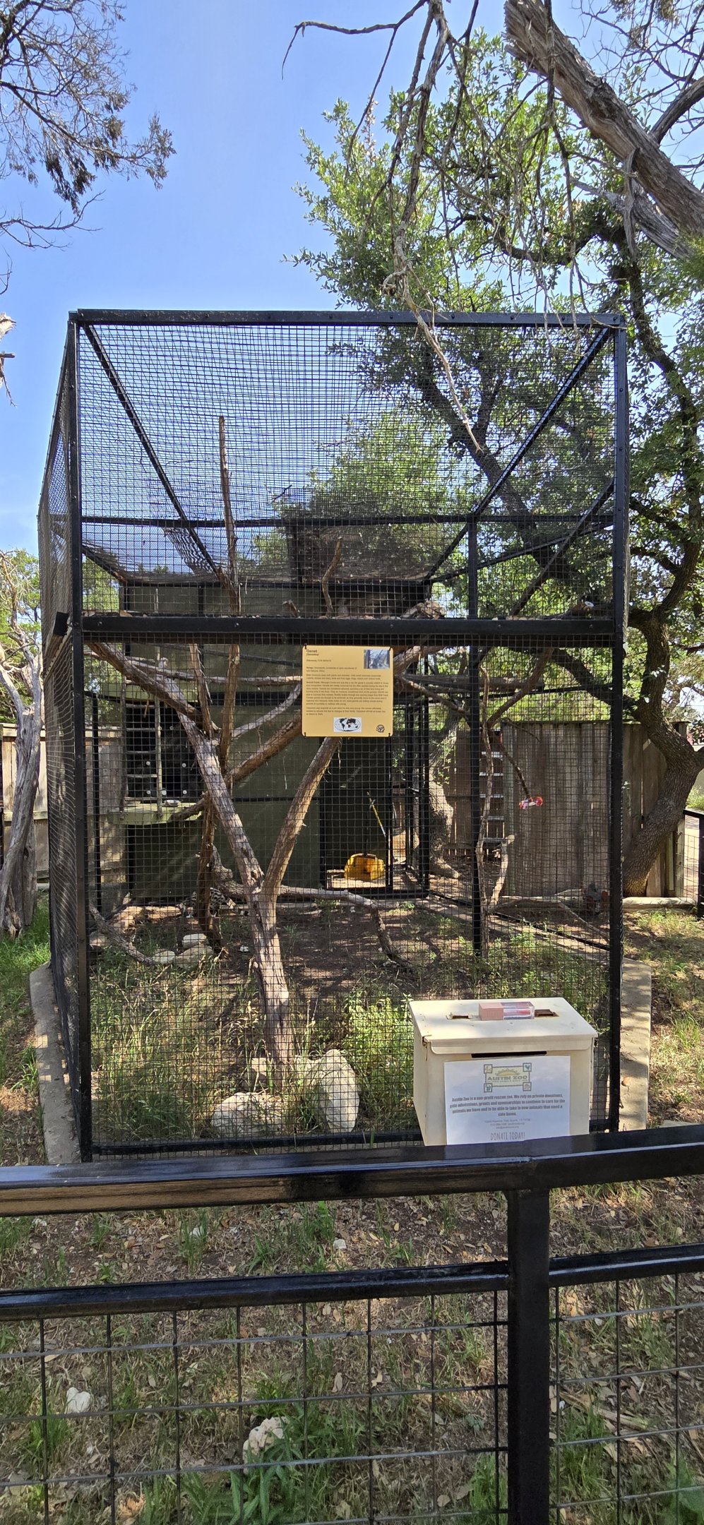 Genet  habitat - new