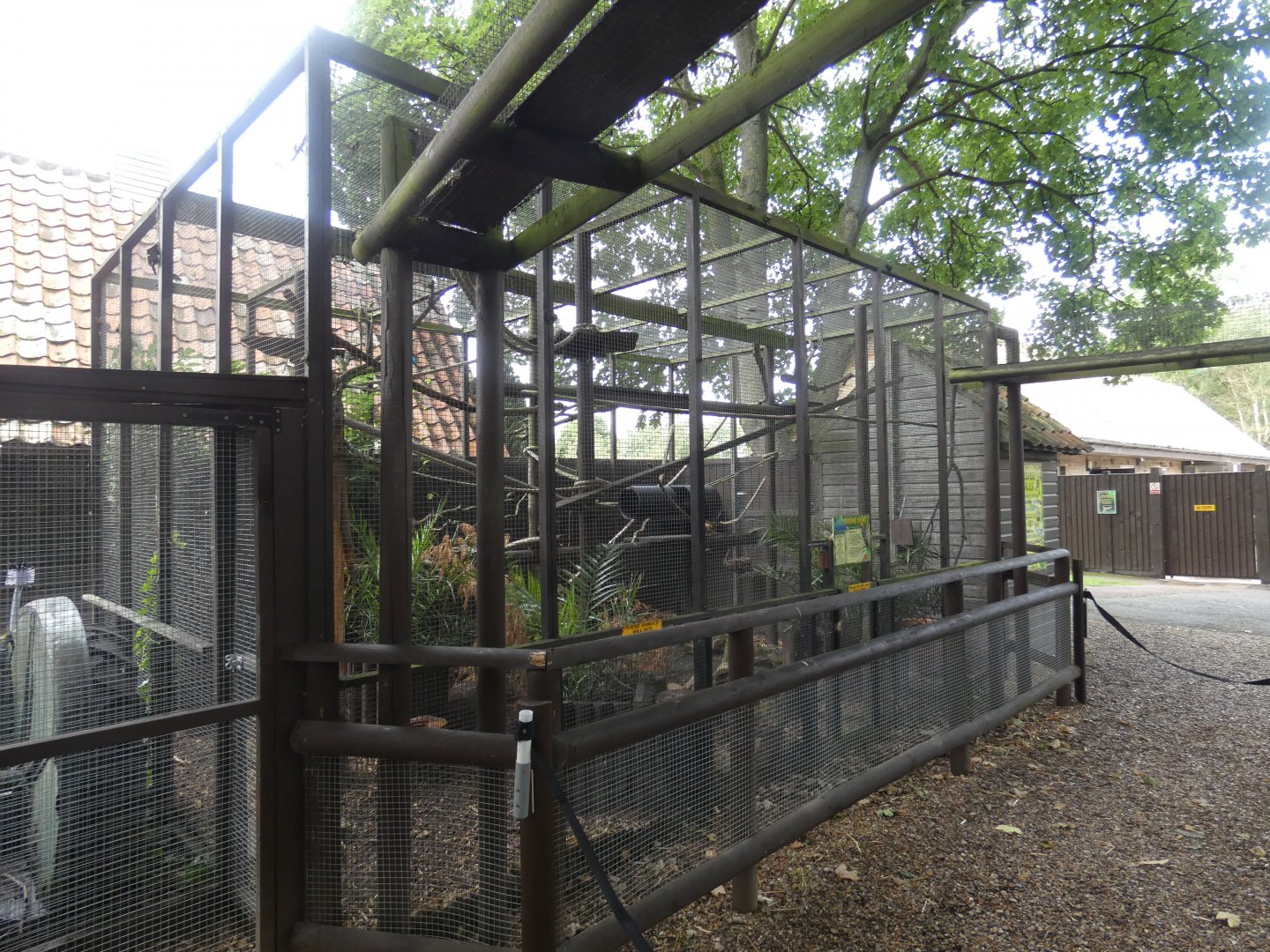 Genet outdoor enclosure
