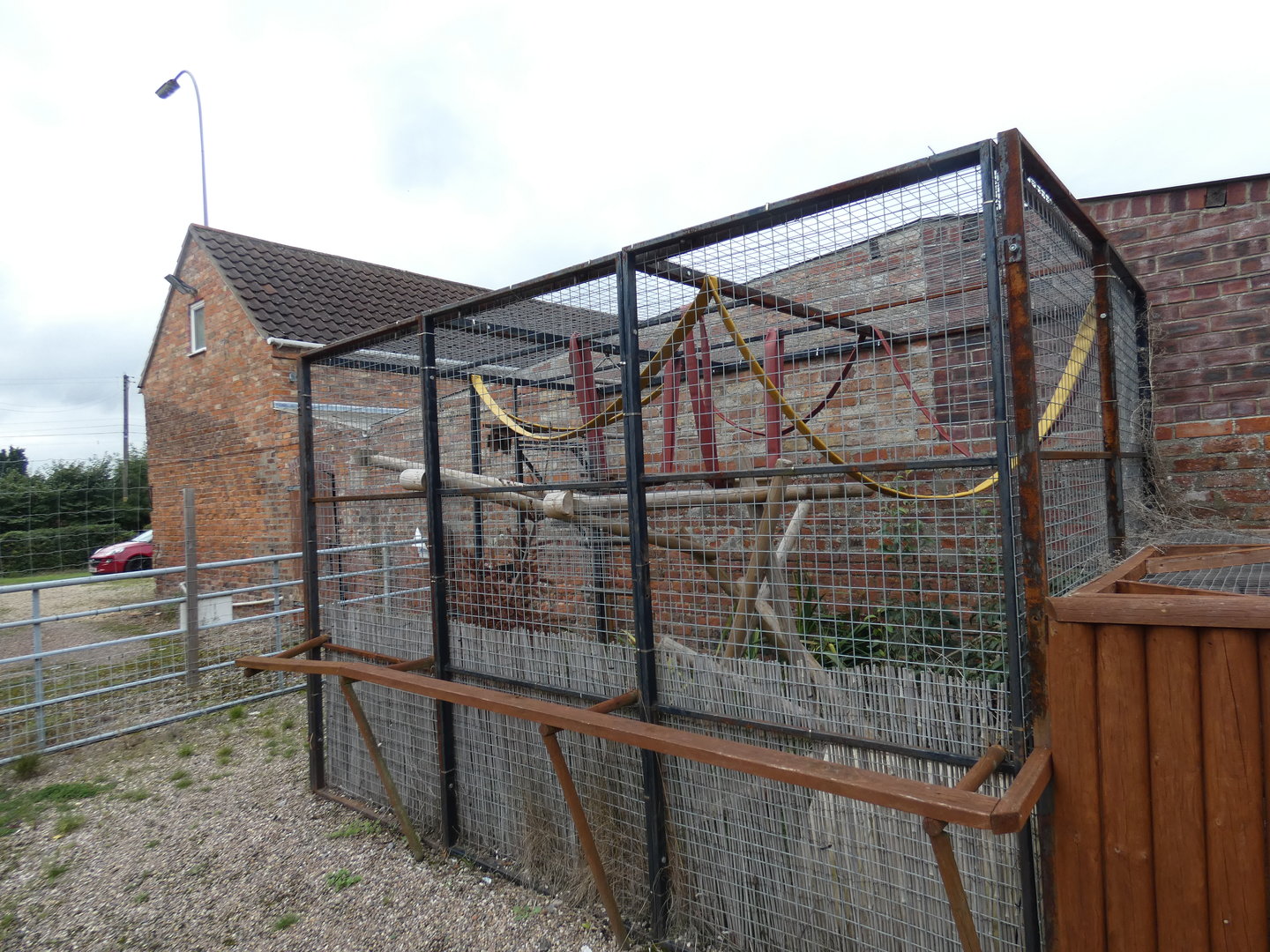 Genet outdoor enclosure