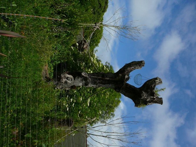 gentle lemur enclosure Durrell/Jersey